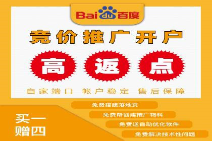案例研究：竞价广告助力企业品牌升级